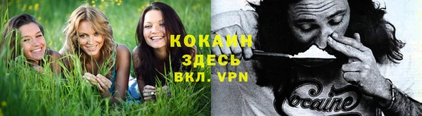 ГАЛЛЮЦИНОГЕННЫЕ ГРИБЫ Абаза