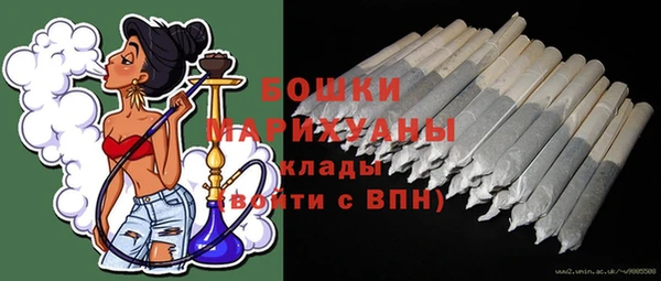 ГАЛЛЮЦИНОГЕННЫЕ ГРИБЫ Абаза